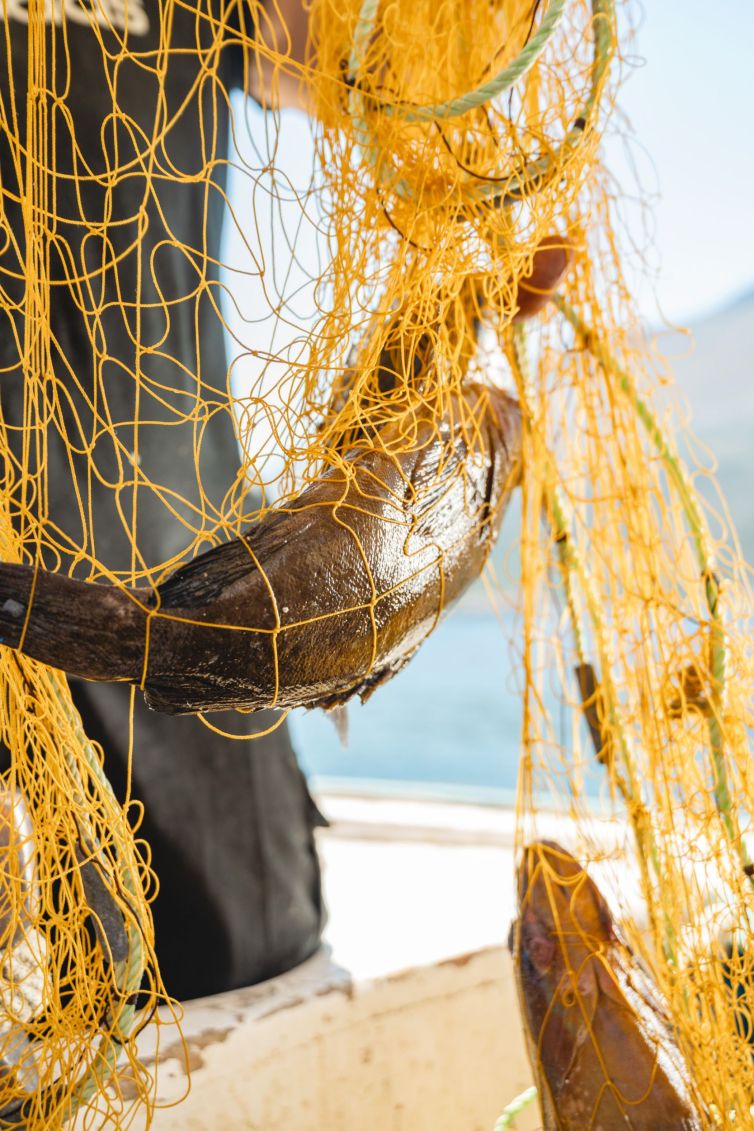 Mavros_Piratis_general_005