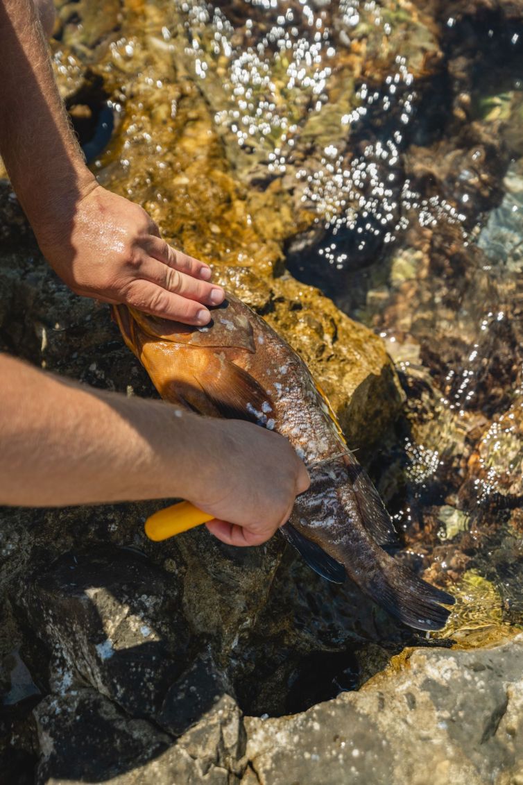 Mavros_Piratis_general_013