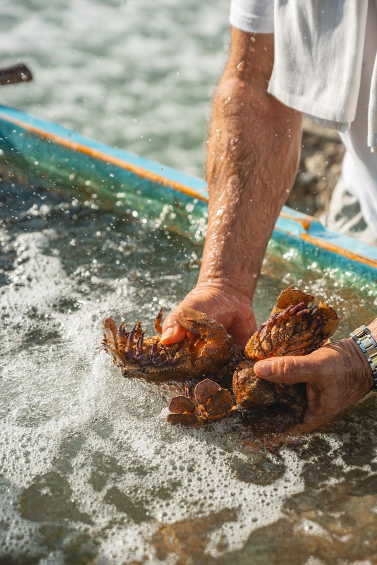 Mavros_Piratis_general_032