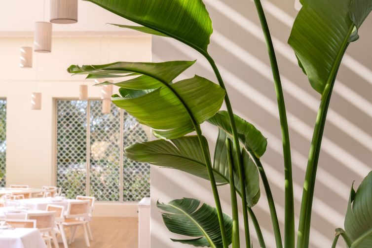 Sea_Satin_Athens_070